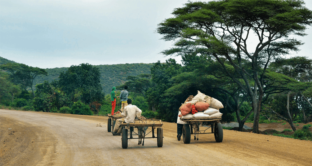 Markets Matter: Rethinking International Development