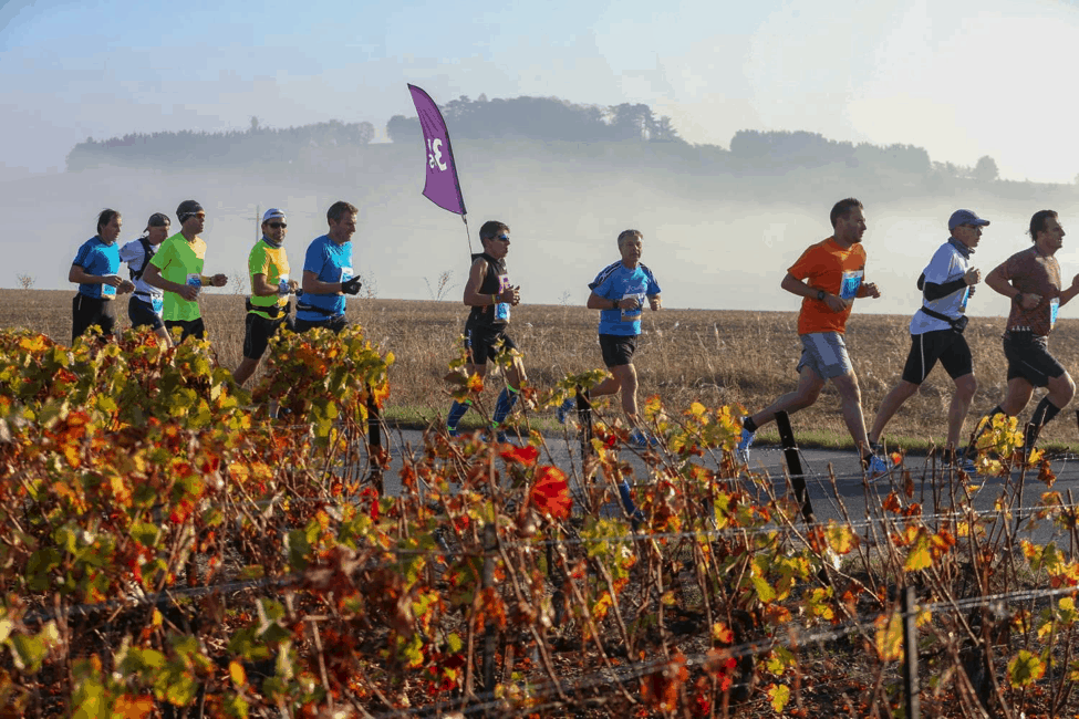 From Vineyards to Streets: Run In Reims 2018