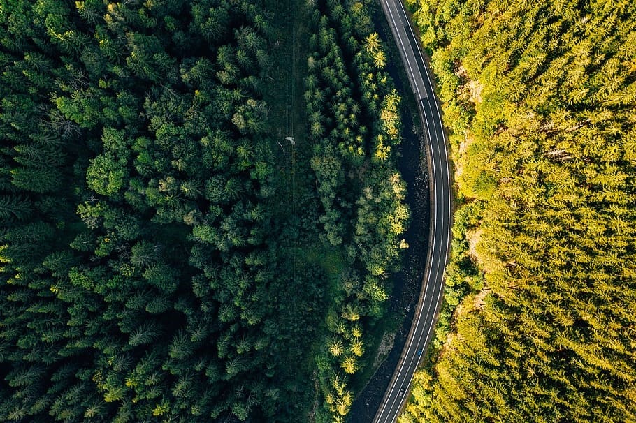 303 : Un doux voyage, même à l’heure du confinement