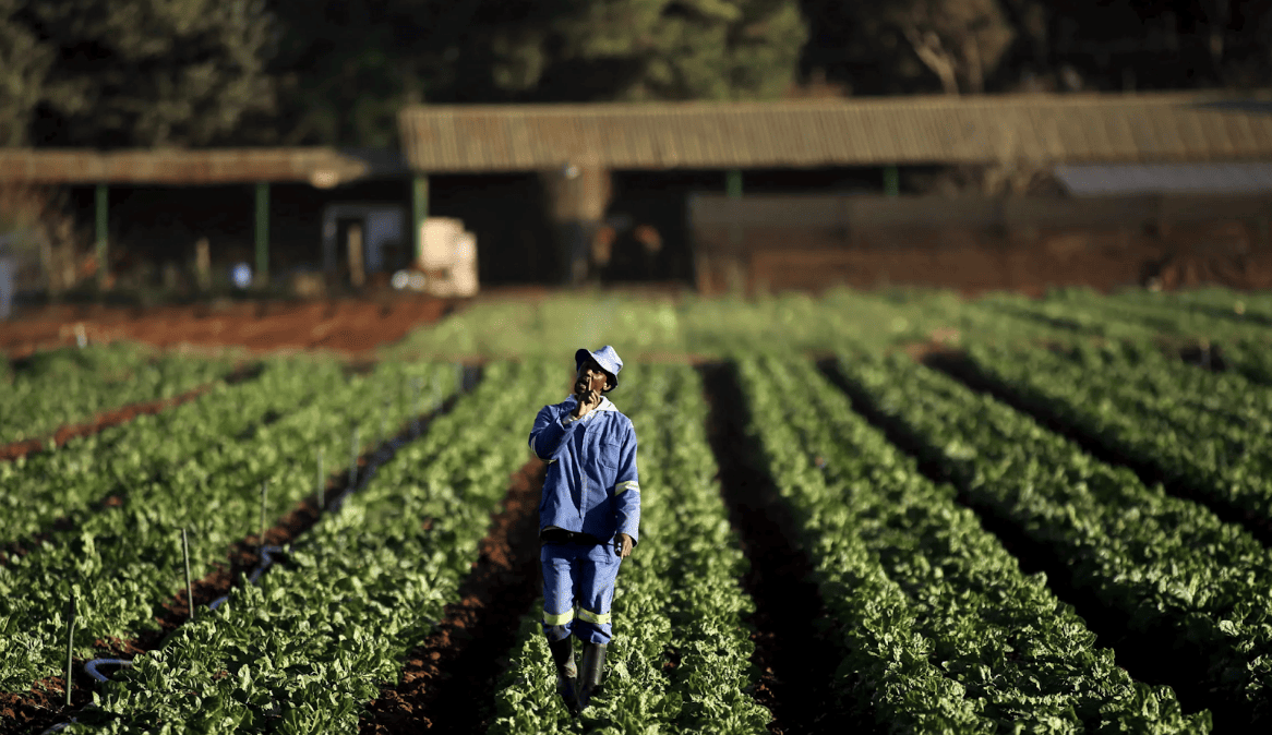 Tilling the Future: Potential Seeds for Change in Postcolonial Countries?