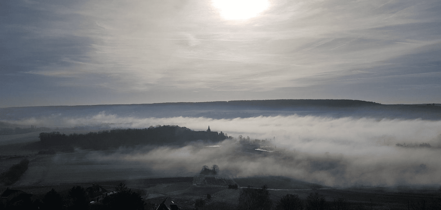 Balade sur la Montagne de Reims : Road-Trip le temps d’une journée