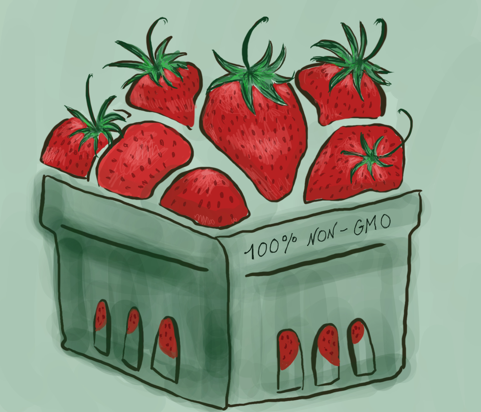 My Strawberry Saga: A Juicy Dive into GMOs in France and the United States